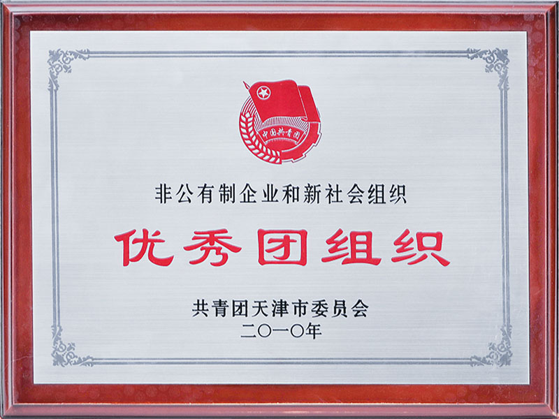 优秀团组织